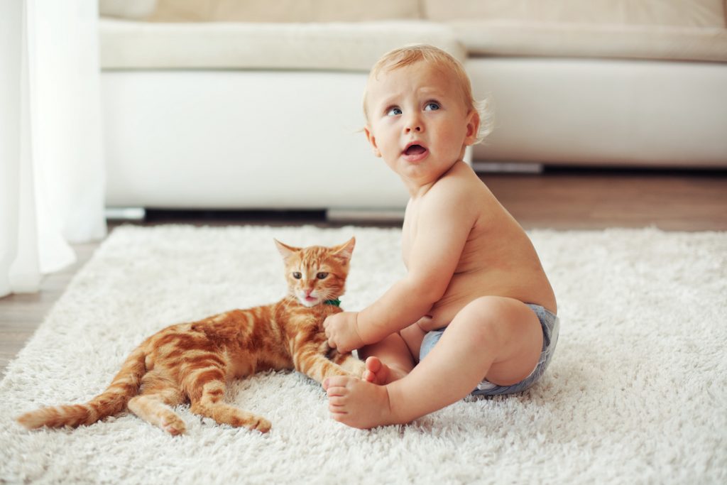 ребенок с котом