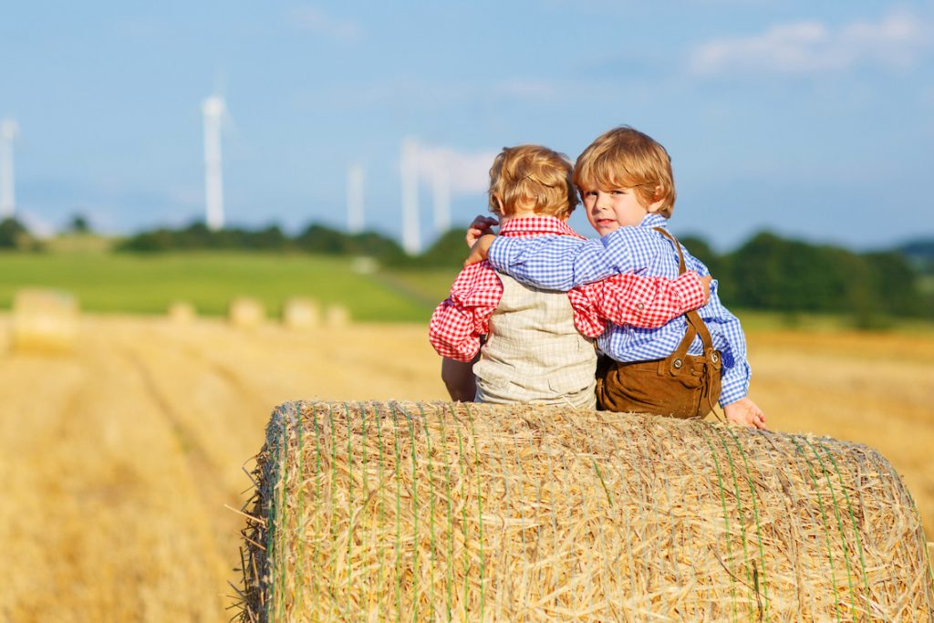 Два мальчика сидят на стоге сена в поле 