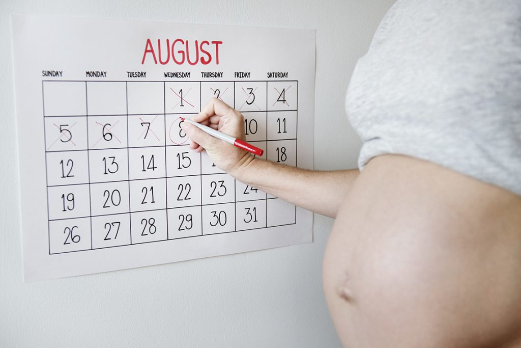 календарь беременность
